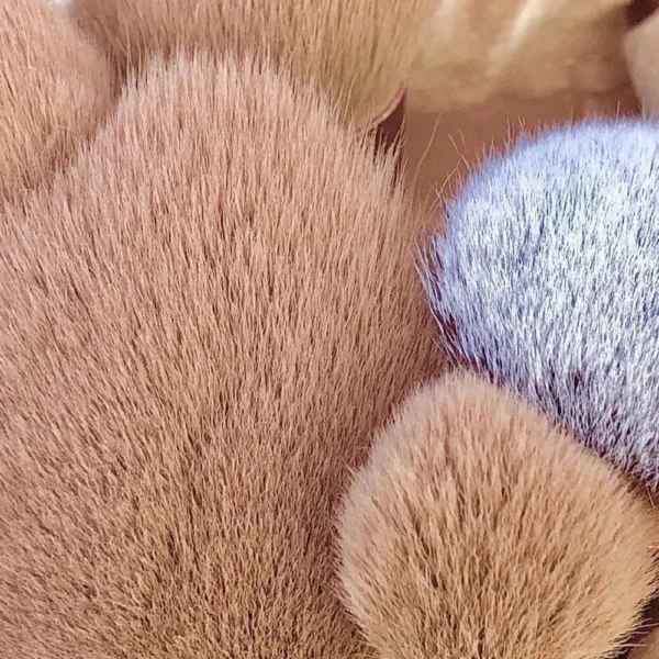 13 pçs pincéis de maquiagem conjunto sombra de olho fundação feminino escova cosmética sombra blush beleza macio compõem ferramentas saco - Imagem 4